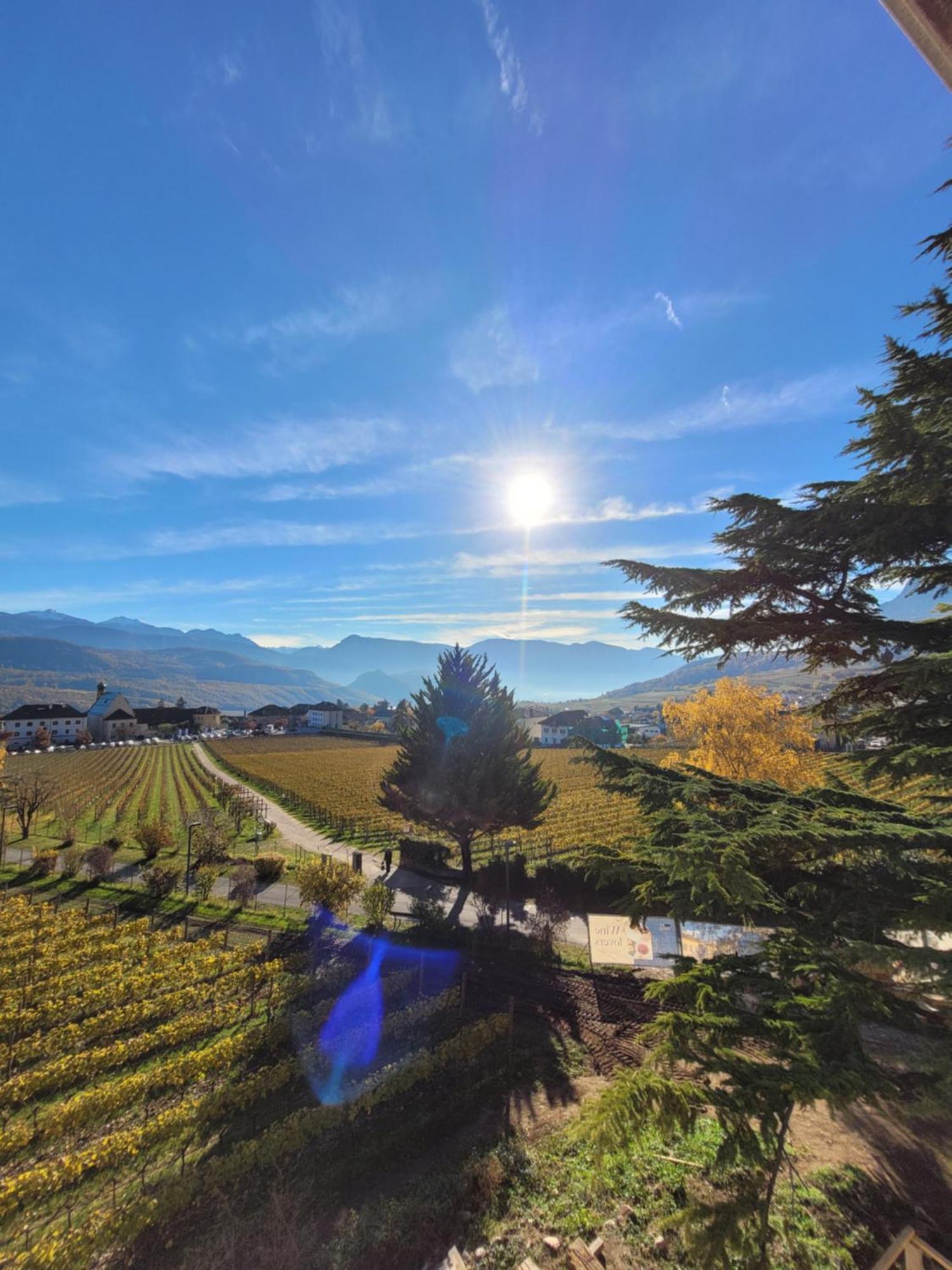 Castel Sallegg Suites Adults Only Caldaro Exteriér fotografie
